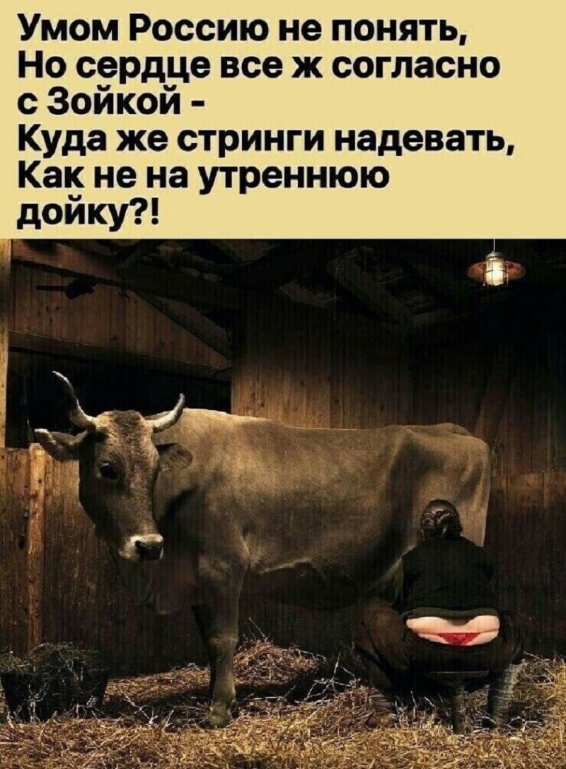 Не ищите здесь смысл. Здесь в основном маразм