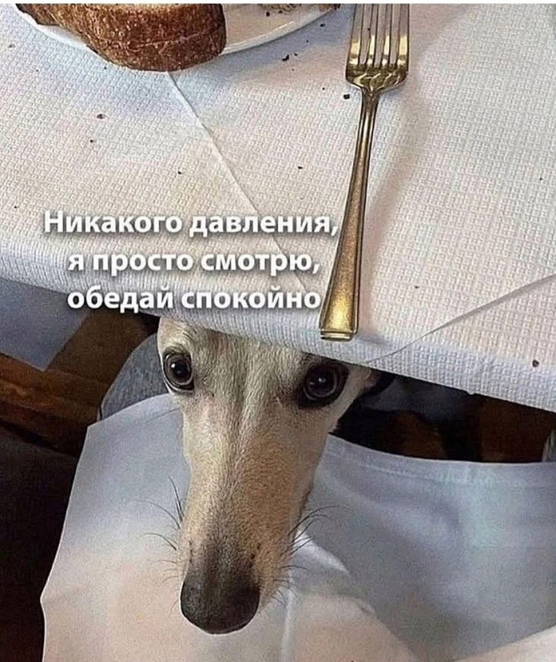 Не ищите здесь смысл. Здесь в основном маразм