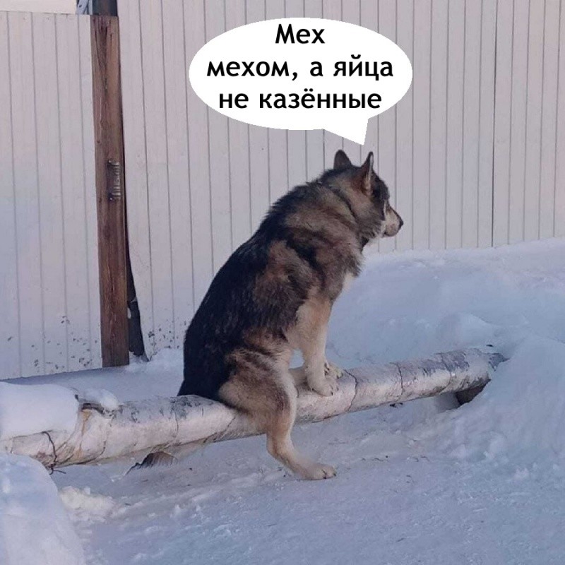 Не ищите здесь смысл. Здесь в основном маразм