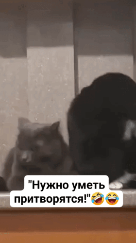 Просто гифки, всякие и&nbsp;разные