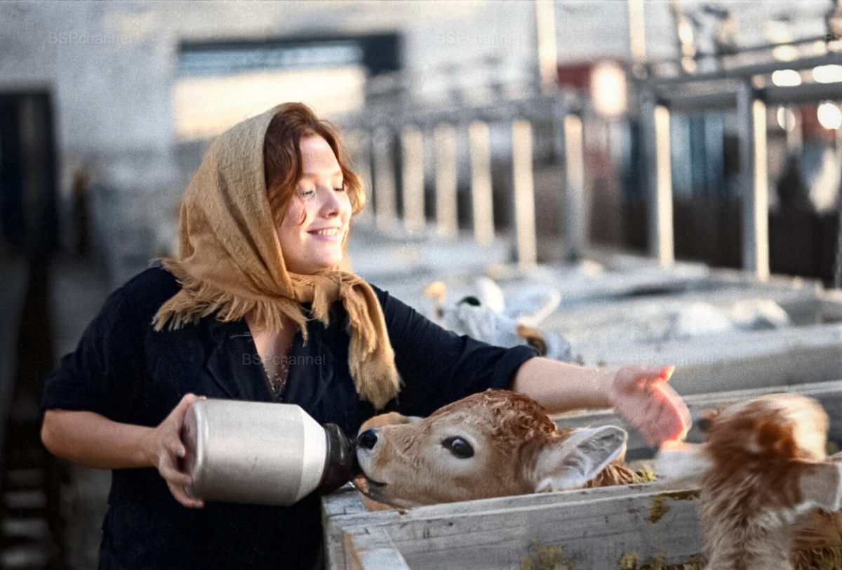 Удивительные и забавные фотографии с животными