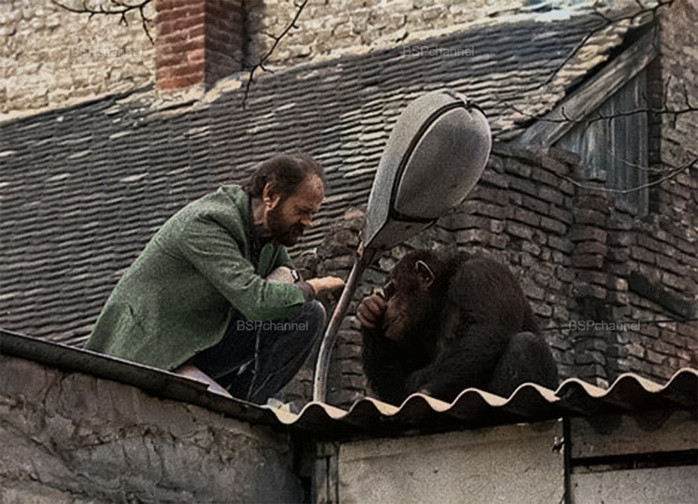 Удивительные и забавные фотографии с животными