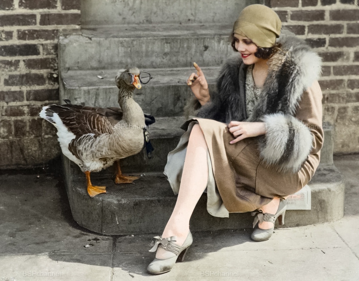 Удивительные и забавные фотографии с животными