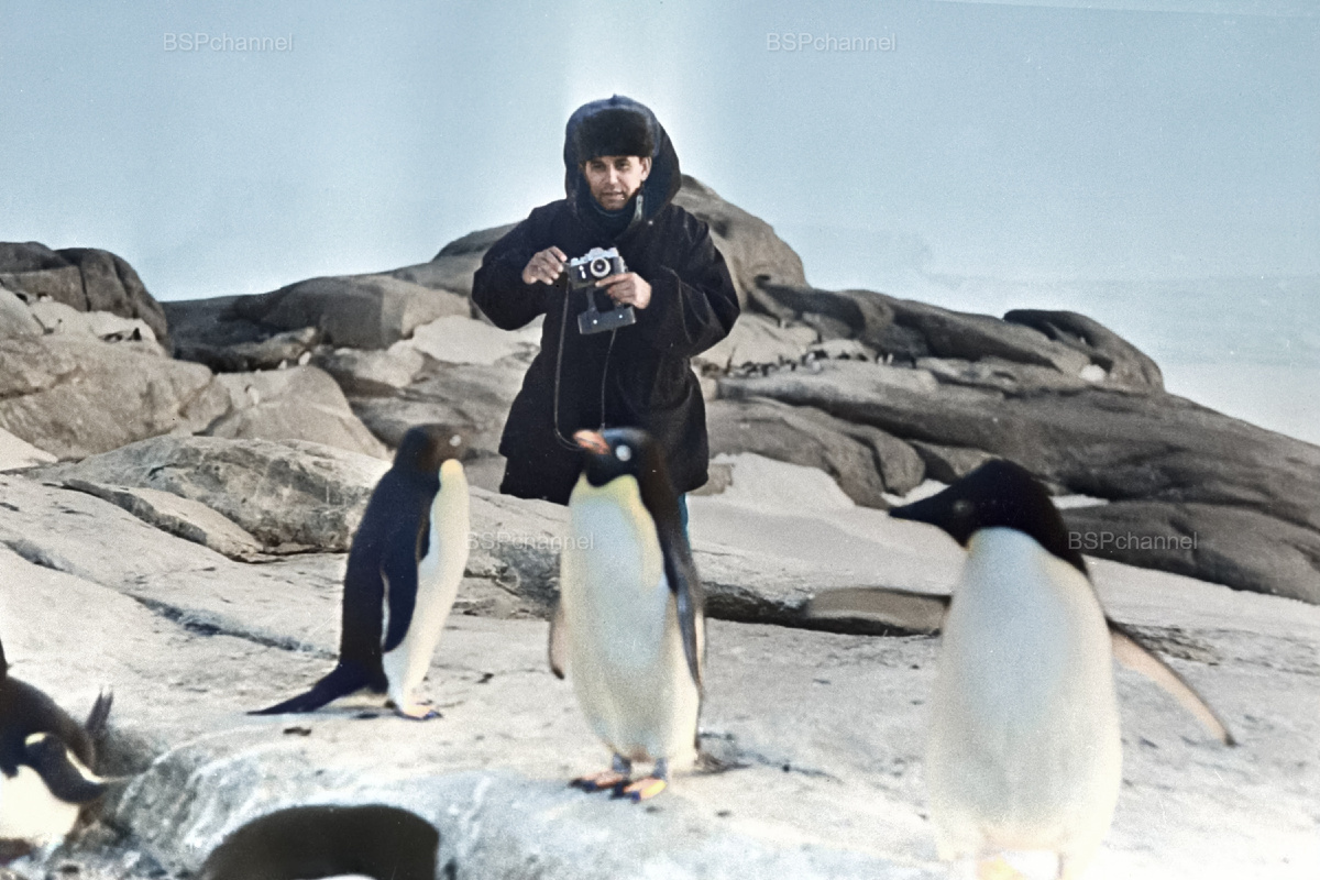 Удивительные и забавные фотографии с животными