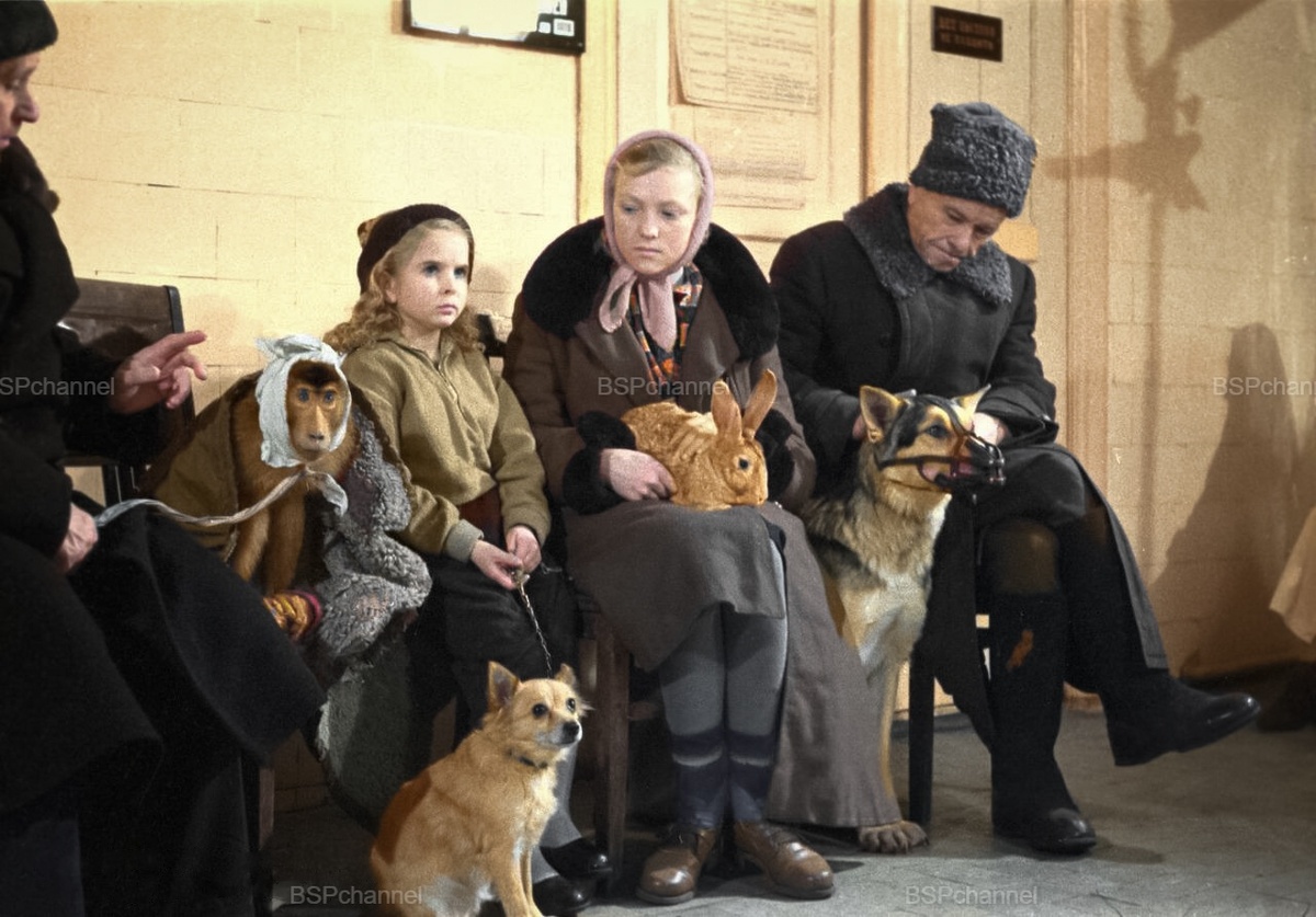 Удивительные и забавные фотографии с животными