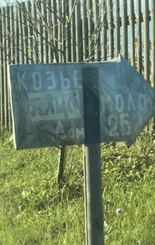 13. Козы, которые несут яйца