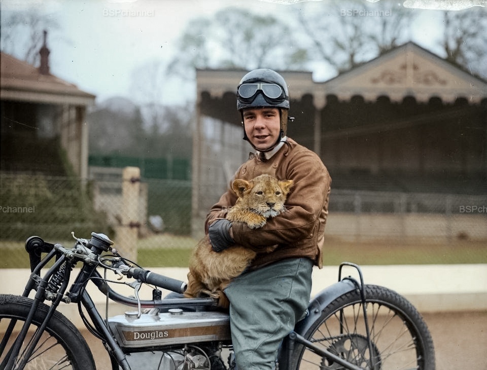 Удивительные и забавные фотографии с животными