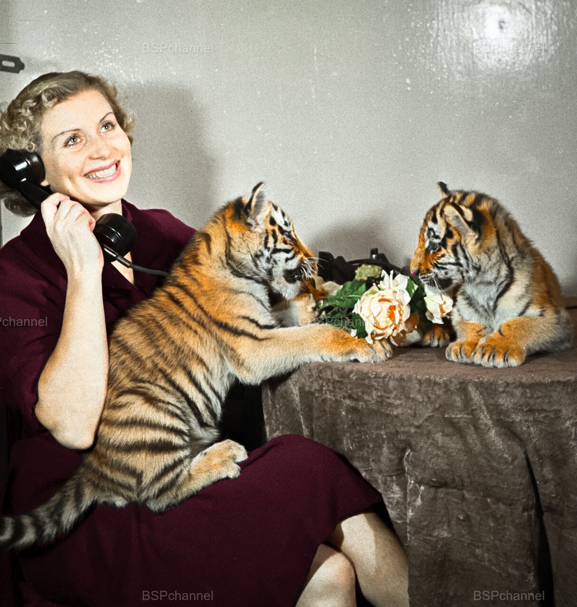 Удивительные и забавные фотографии с животными