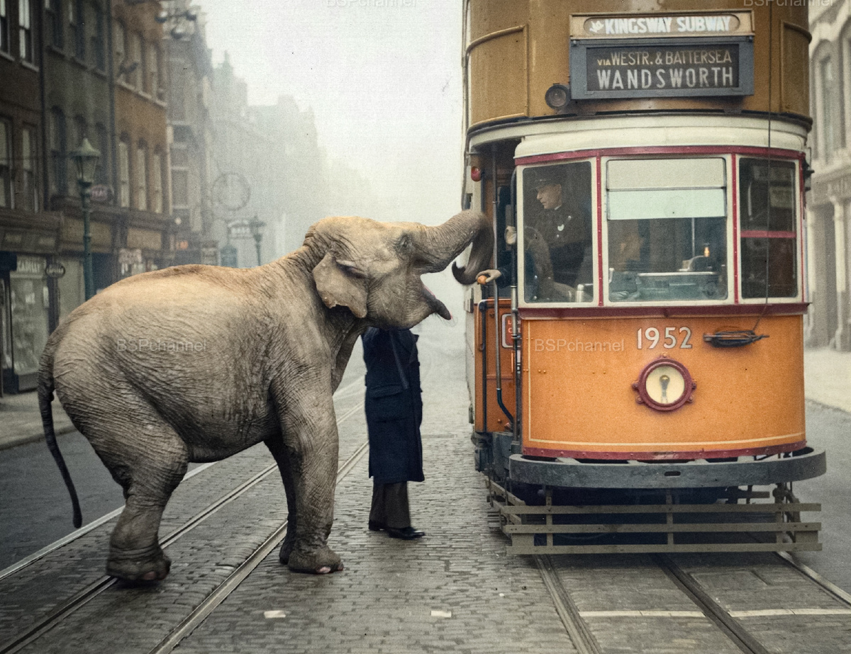 Удивительные и забавные фотографии с животными