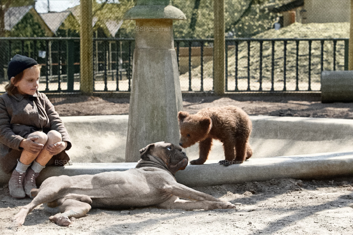 Удивительные и забавные фотографии с животными