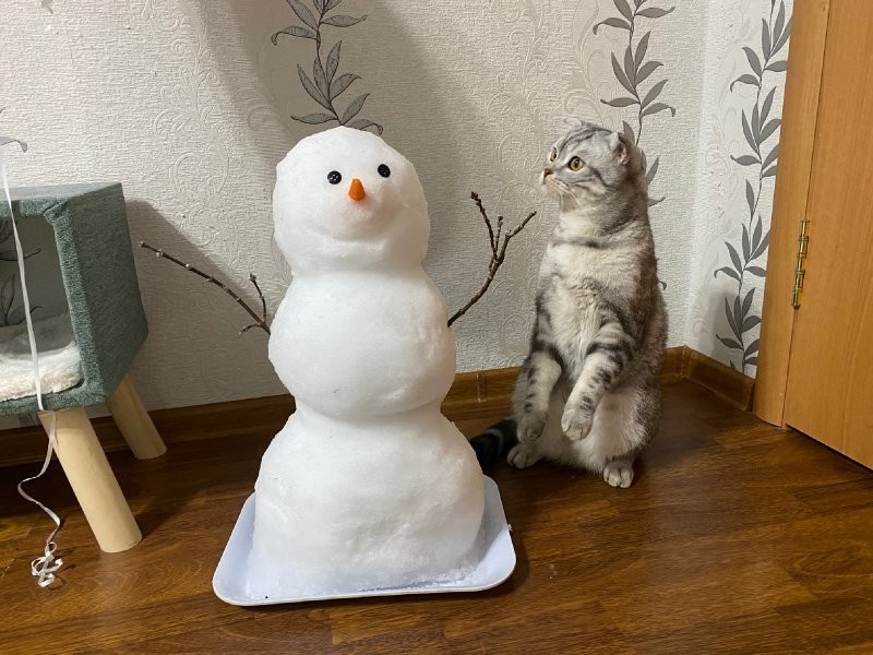 19. Нам это точно надо?