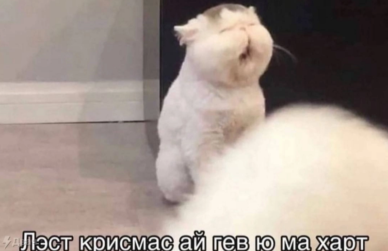 Зимняя радость без риска. Педиатры развеяли популярный миф о зимней забаве