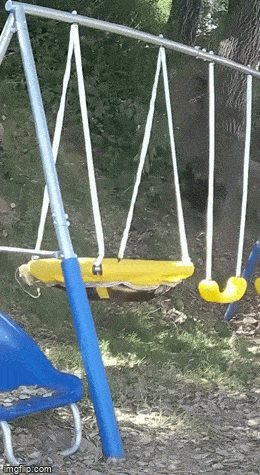 Просто гифки, всякие и&nbsp;разные