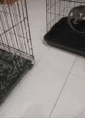 Просто гифки, всякие и&nbsp;разные