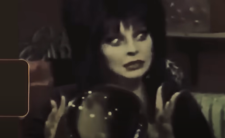 Как снимали фильм "Эльвира - повелительница тьмы": 20 интересных фактов о фильме