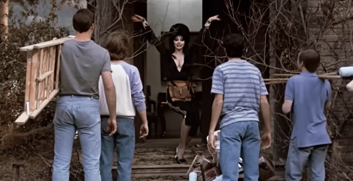 Как снимали фильм "Эльвира - повелительница тьмы": 20 интересных фактов о фильме