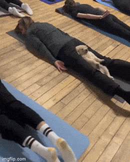 Просто гифки, всякие и&nbsp;разные