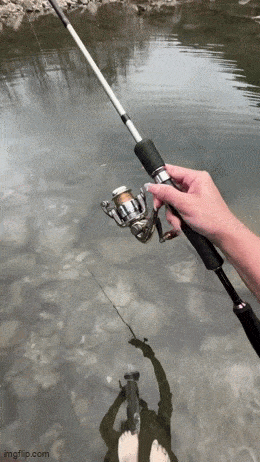 Просто гифки, всякие и&nbsp;разные