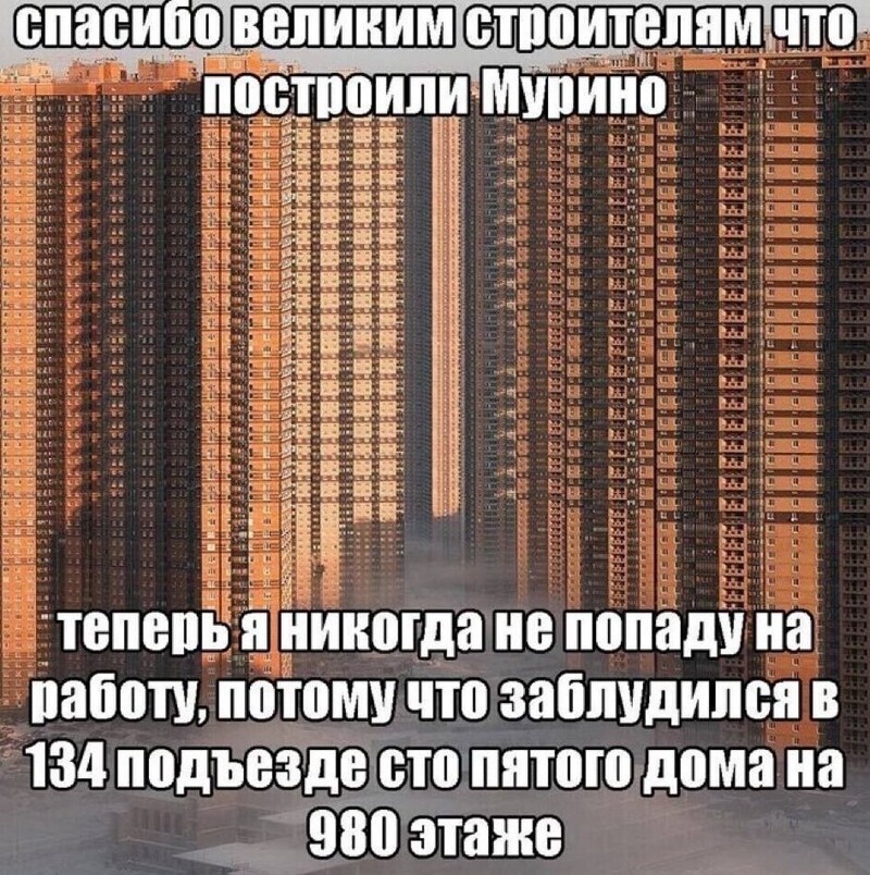 Иностранка искала ад в Мурино и нашла только скуку: как "самый опасный" район Петербурга разочаровал европейку