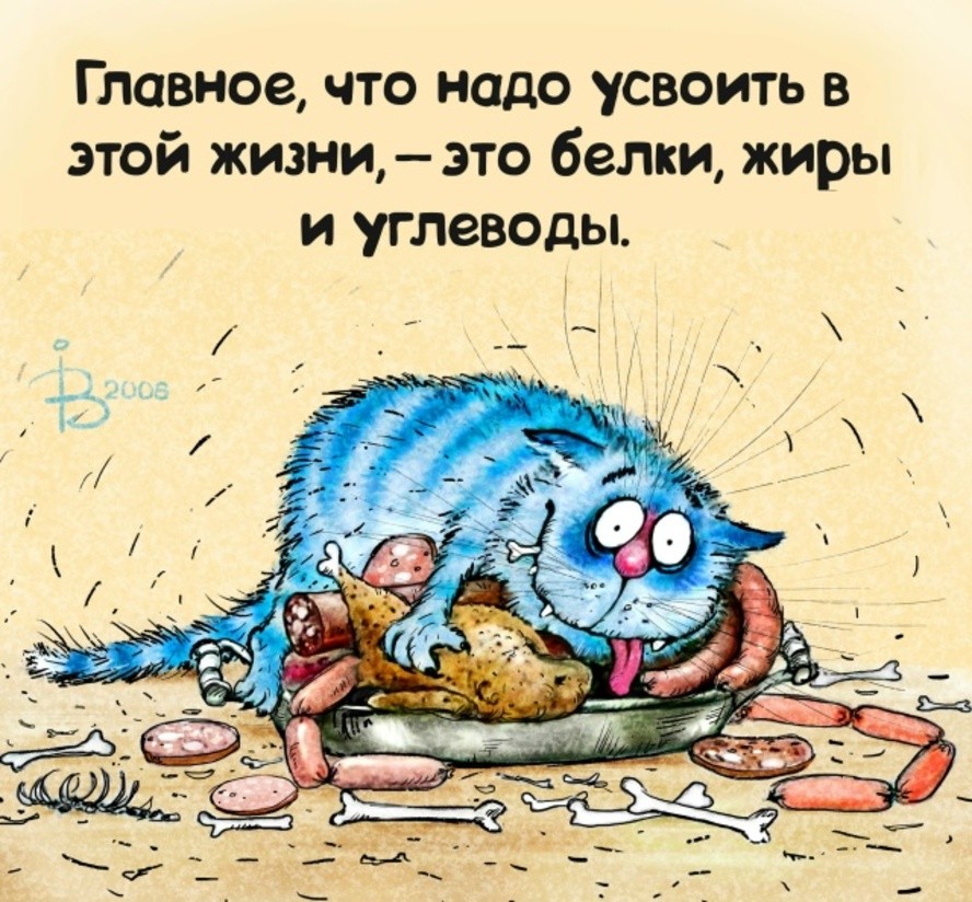 Коты минской художницы Рины Зенюк. 2025 год