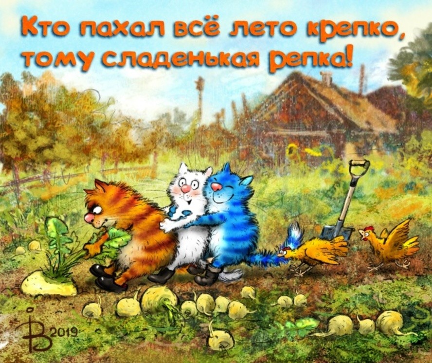 Коты минской художницы Рины Зенюк. 2025 год