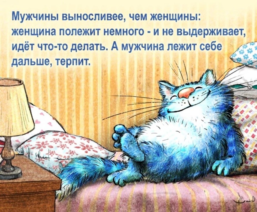 Коты минской художницы Рины Зенюк. 2025 год