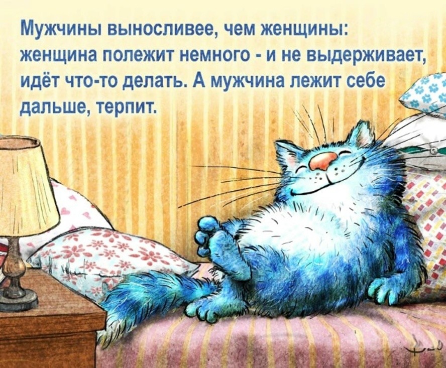 Коты минской художницы Рины Зенюк. 2025 год