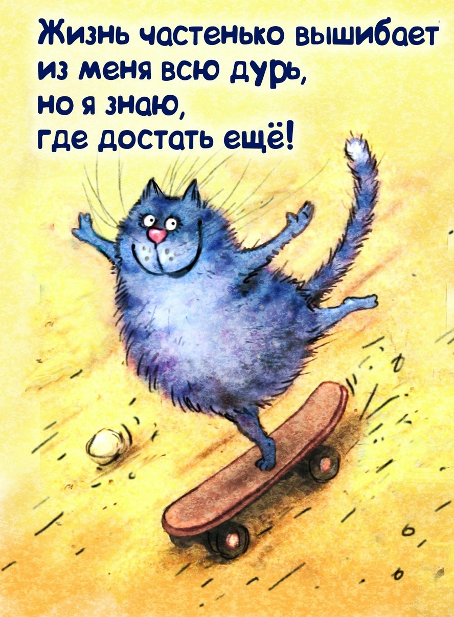 Коты минской художницы Рины Зенюк. 2025 год