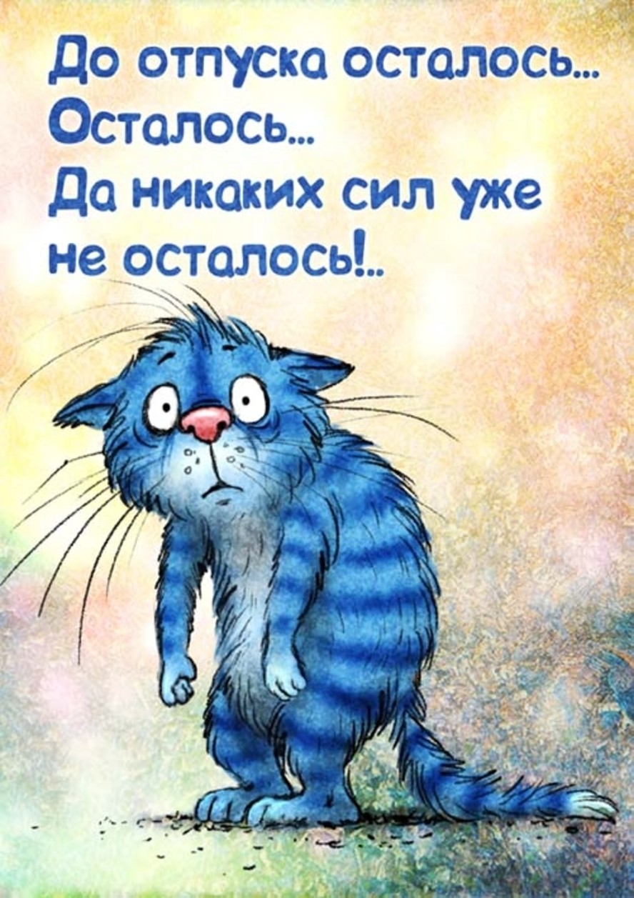 Коты минской художницы Рины Зенюк. 2025 год