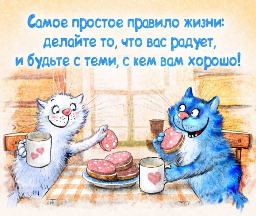 Коты минской художницы Рины Зенюк. 2025 год