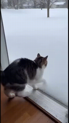 Просто гифки, всякие и&nbsp;разные