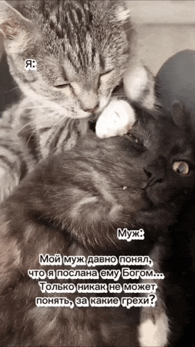 Просто гифки, всякие и&nbsp;разные