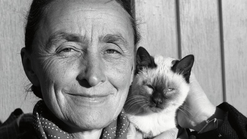 12. Джорджия Тотто О’Кифф — американская художница, одна из самых влиятельных фигур модернизма, со своей кошкой