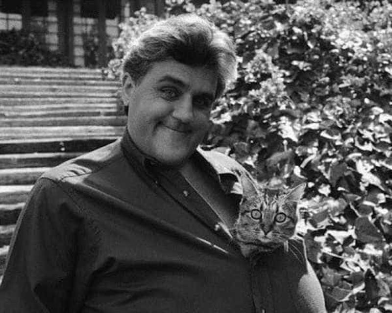6. Комик Джей Лено очень любит кошек: пушистики часто фигурируют в его шутках