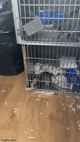 Просто гифки, всякие и&nbsp;разные