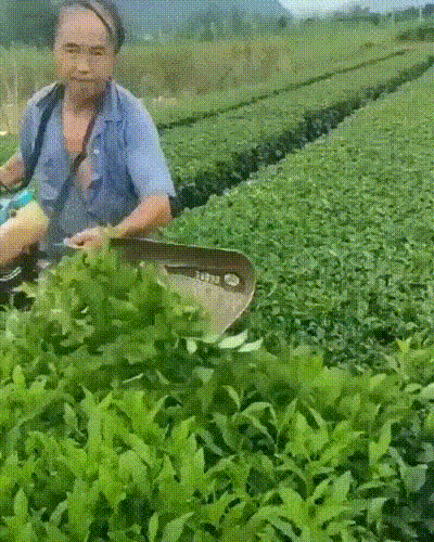 Просто гифки, всякие и&nbsp;разные