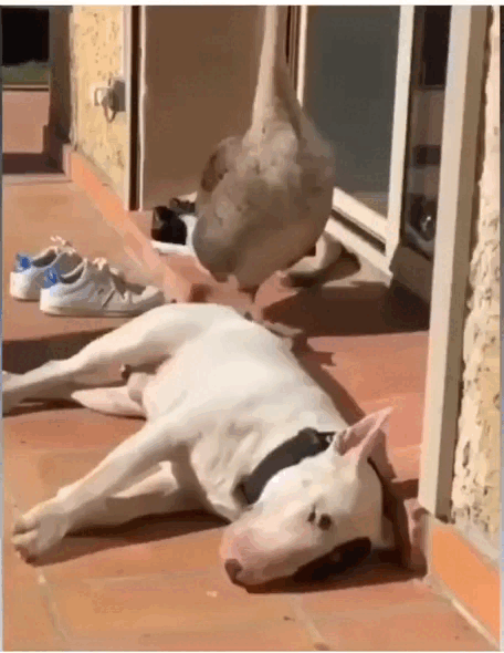 Просто гифки, всякие и&nbsp;разные