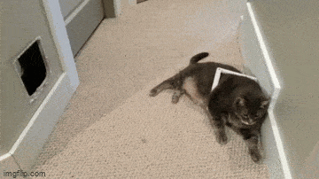 Просто гифки, всякие и&nbsp;разные