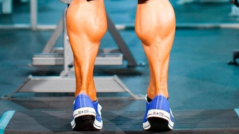 9. Второе сердце