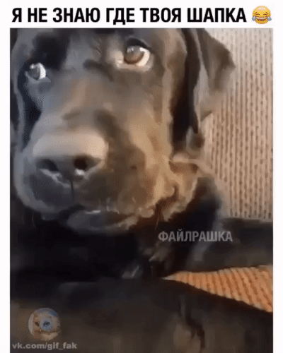 Просто гифки, всякие и&nbsp;разные