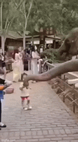 Просто гифки, всякие и&nbsp;разные