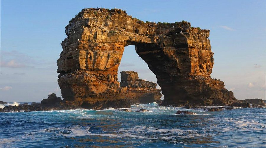 Интересные факты о галапагосских вьюрках