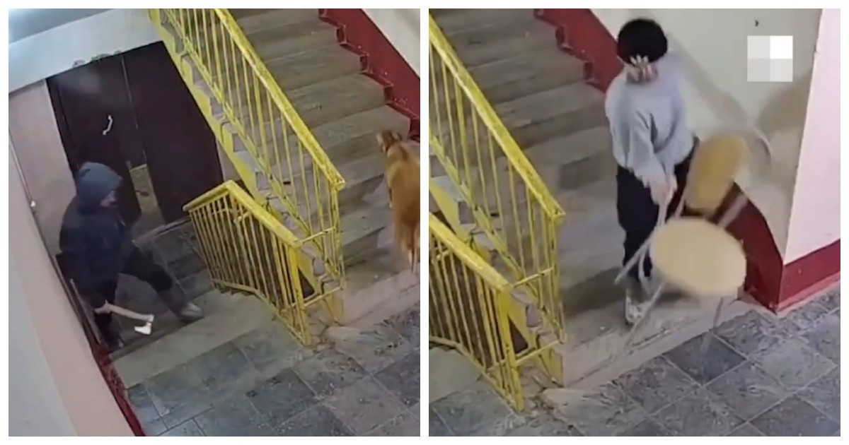 Принес охотничий топор и стул: неравная битва разъяренного тюменца с камерой