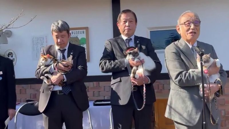 Новая кошка-смотритель на станции Кинокава  вступила в должность