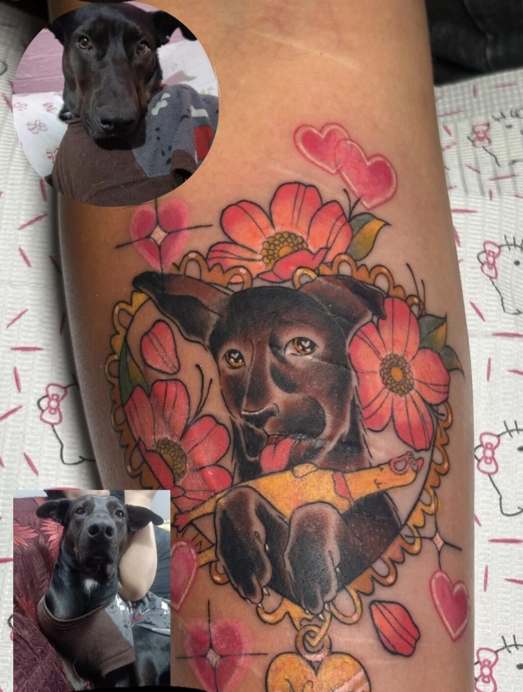 8. Питомец с человеческими глазами