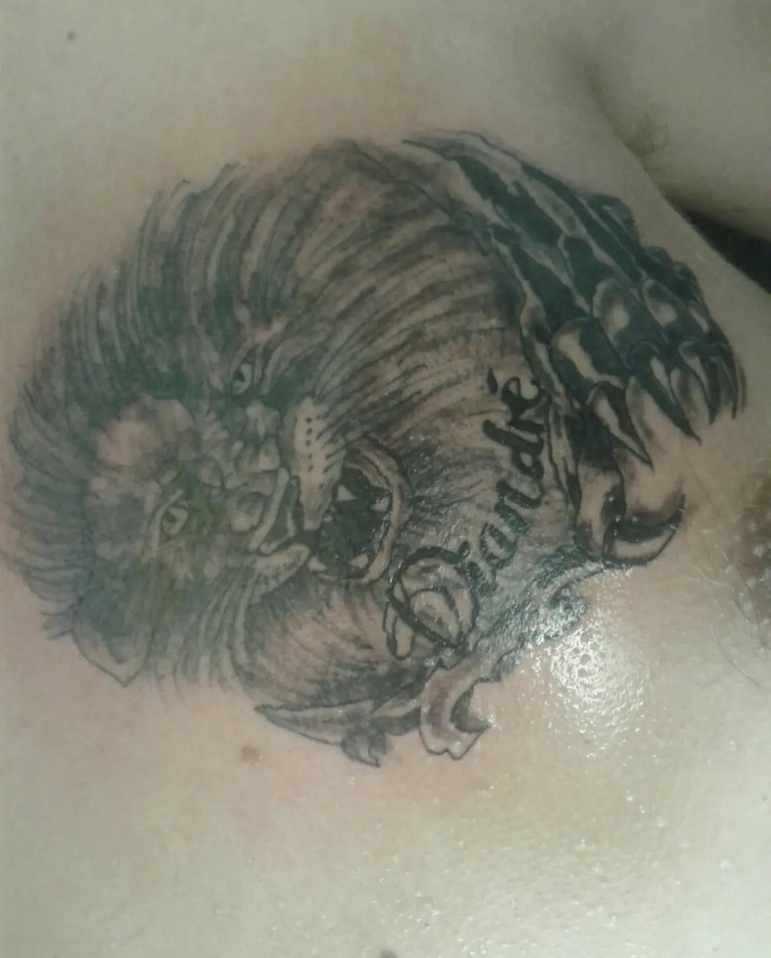 17. У зверюшки явно проблемы