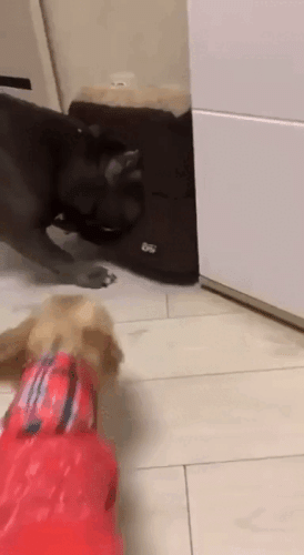 Просто гифки, всякие и&nbsp;разные