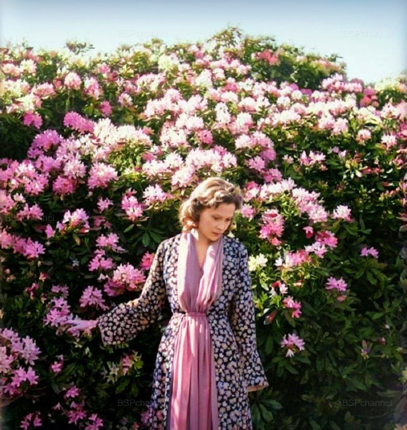 Подборка интересных и необычных фотографий из США