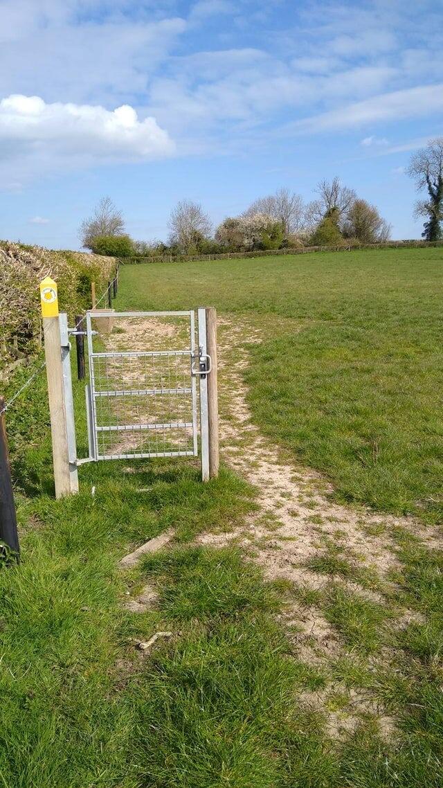 Безопасность превыше всего