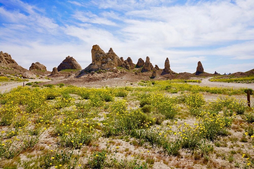 Трона Пинаклс: завораживающий лунный пейзаж с «кактусами», ставшими персонажами фильмов